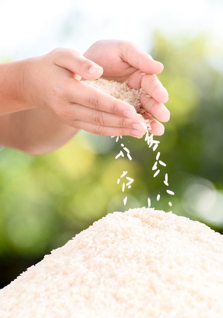 Riz au jasmin dans la main de l&#39;enfant