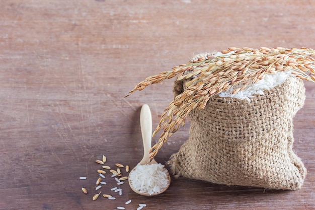 Riz au jasmin en sac et riz paddy sur une vieille table en bois