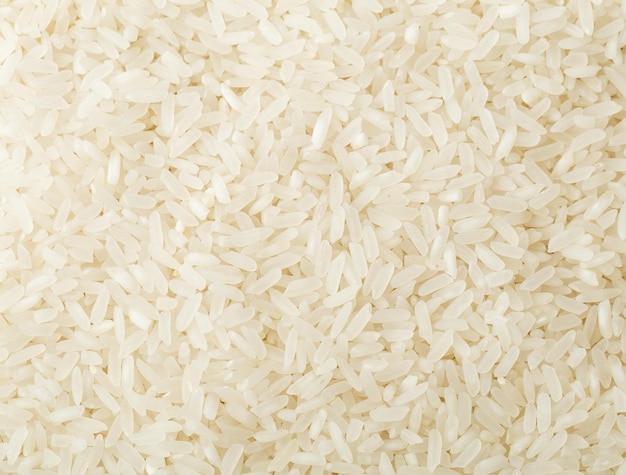 Riz blanc asiatique non cuit