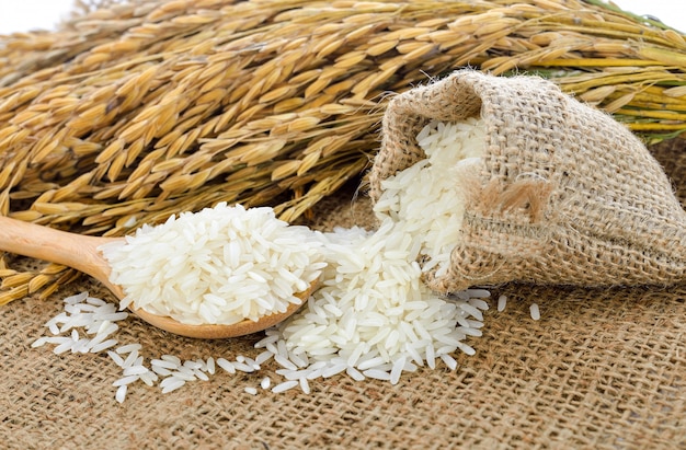 Riz blanc (riz thaï au jasmin) et riz non moulu