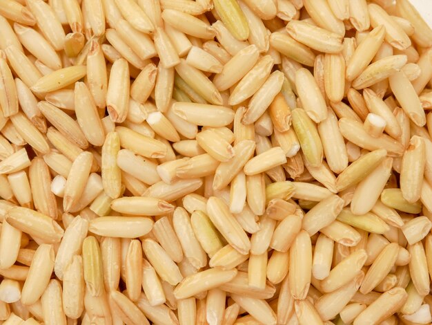 Riz brun cru. texture d&#39;arrière-plan alimentaire vue de dessus