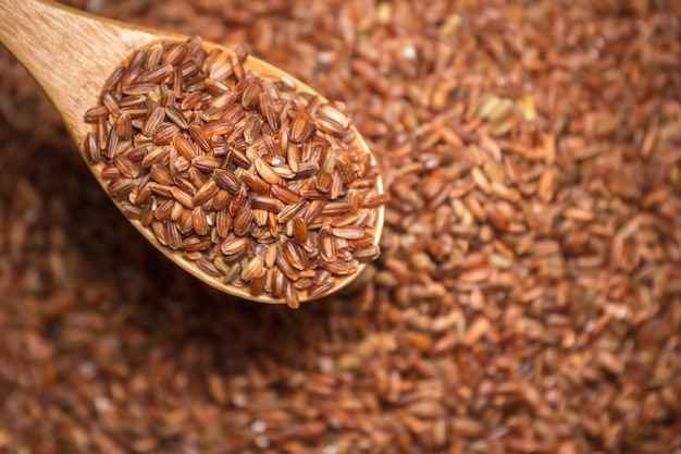 Riz brun dans une cuillère en bois