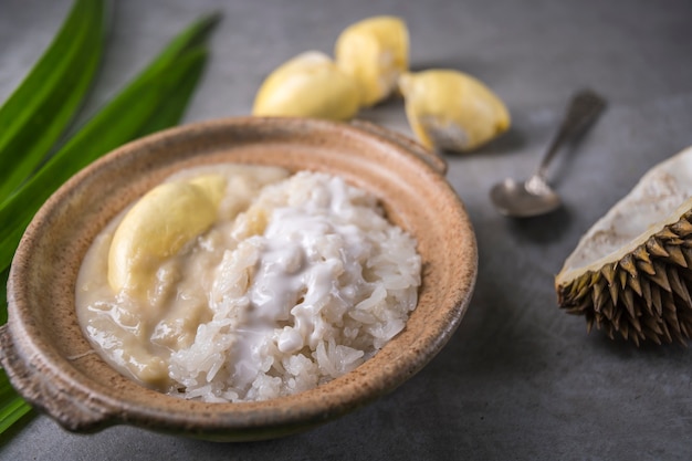 Riz gluant sucré avec sauce au lait Durian et noix de coco