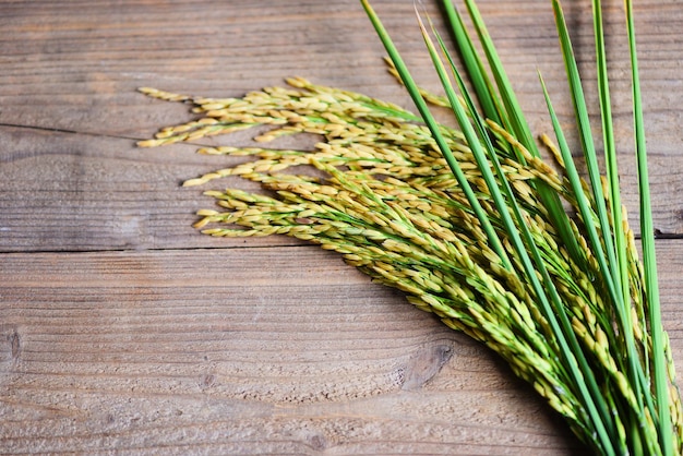 Riz jaune récolté sur une table en bois, riz de récolte et concept de cuisson des céréales alimentaires