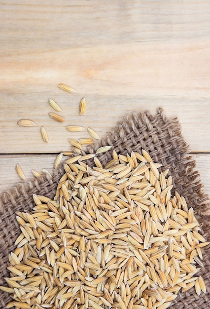 riz paddy cru sur une cuillère en bois