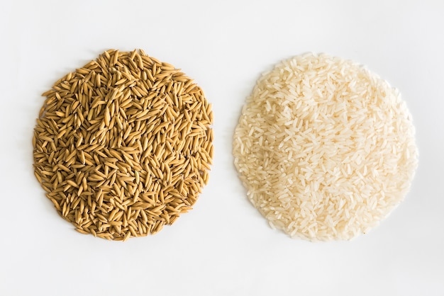 riz paddy, riz brun, riz blanc est en forme de cercle sur fond blanc