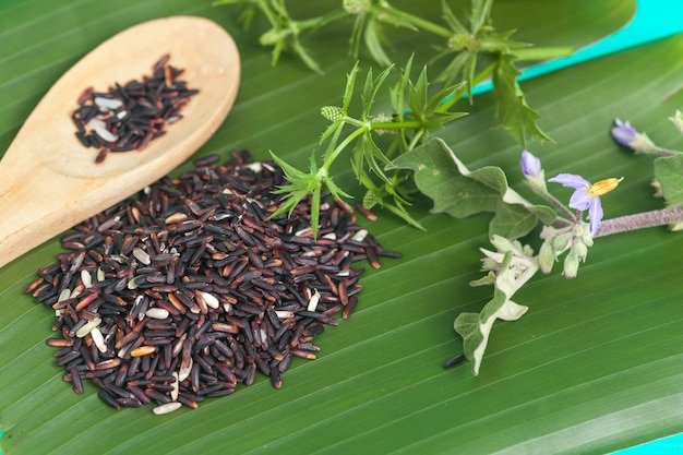 Riz rouge biologique sur feuille de bananier, riz local