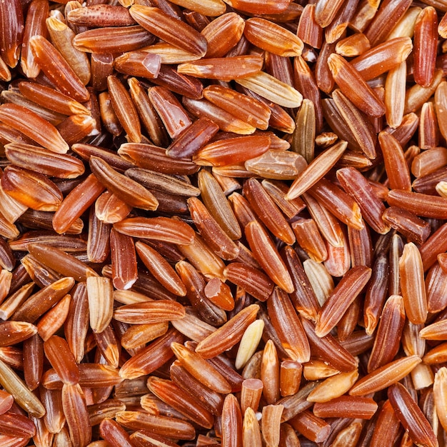 Riz Rouge à Grains Longs Non Cuits En Gros Plan