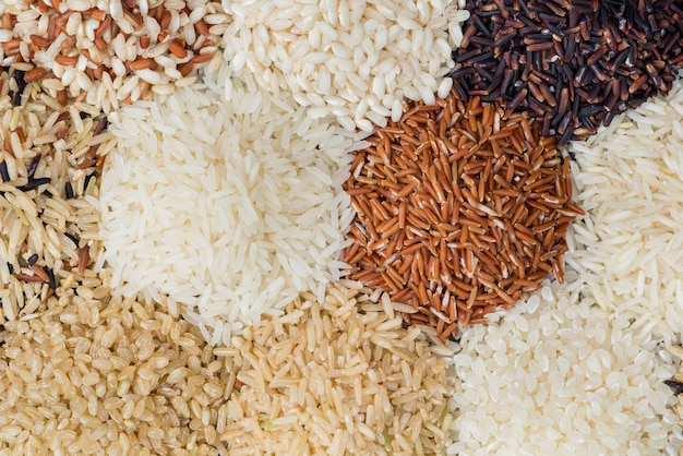 Riz sec différent pour manger sainement