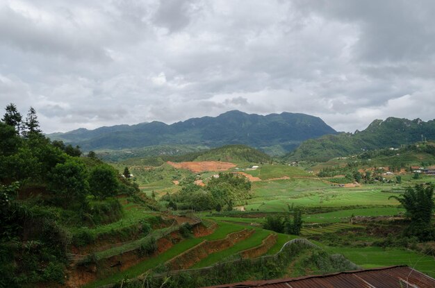 Rizières en terrasse du Vietnam