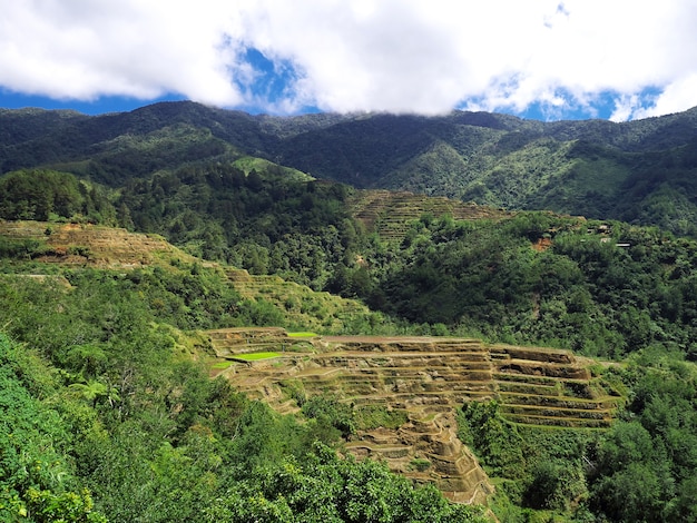 Les rizières en terrasses de Banaue aux Philippines