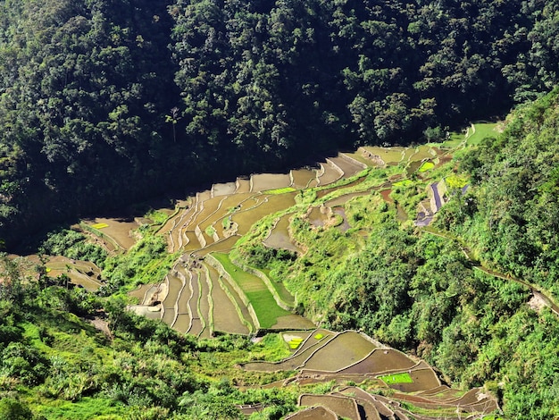 Les rizières en terrasses de Bangaan aux Philippines