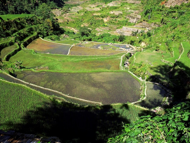 Les rizières en terrasses de Bangaan aux Philippines