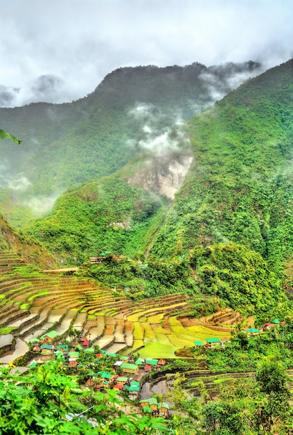 Rizières en terrasses de Batad, à Ifugao, île de Luzon, Philippines