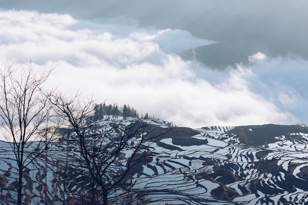 Rizières en terrasses de YuanYang, Chine avec une mer de brouillard et de nuages