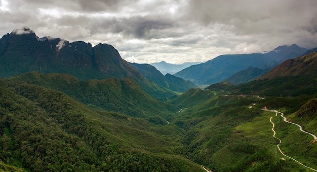 Rizières vertes sur terrasses à Muchangchai, Vietnam Les rizières préparent la récolte au nord-ouest