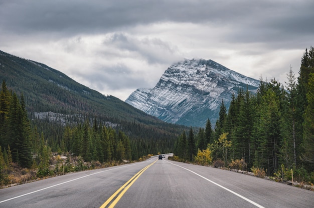 Road trip avec les montagnes Rocheuses en forêt d'automne sur sombre au parc national Banff