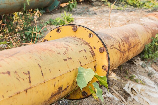 Robinet sur la pipe entre les herbes