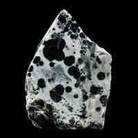 Photo une roche avec des bulles noires et blanches et des taches noires