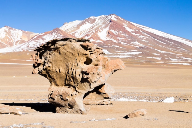Rocher d'arbre en pierre, Bolivie. Point de repère bolivien. Arbol de Piedra
