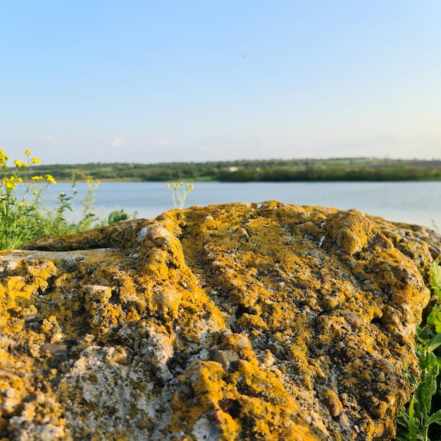 Un rocher couvert de mousse jaune avec un lac en arrière-plan.