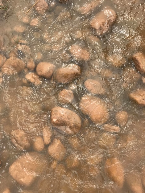 Photo un rocher dans l'eau est dans un bassin d'eau