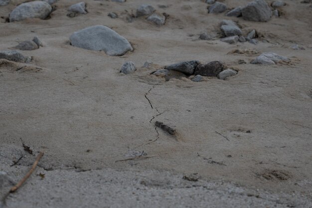 Le rocher dans le sable