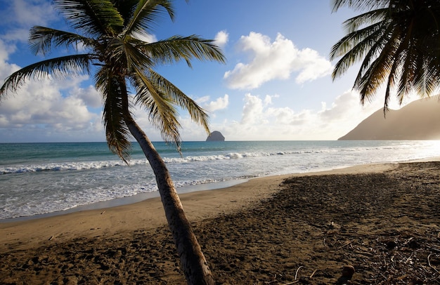 Rocher du diamant et plage des Caraïbes Martinique Antilles French West Indies