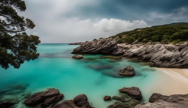 Photo un rocher est dans l'eau avec un rocher dans l' eau