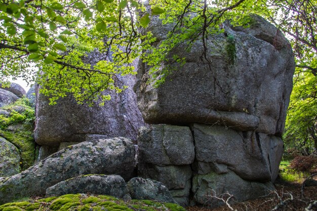 Rocher de foldenlozerefrance