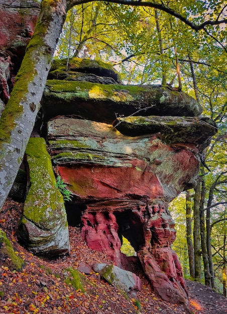 Rocher de grès à côté d'un chemin de randonnée