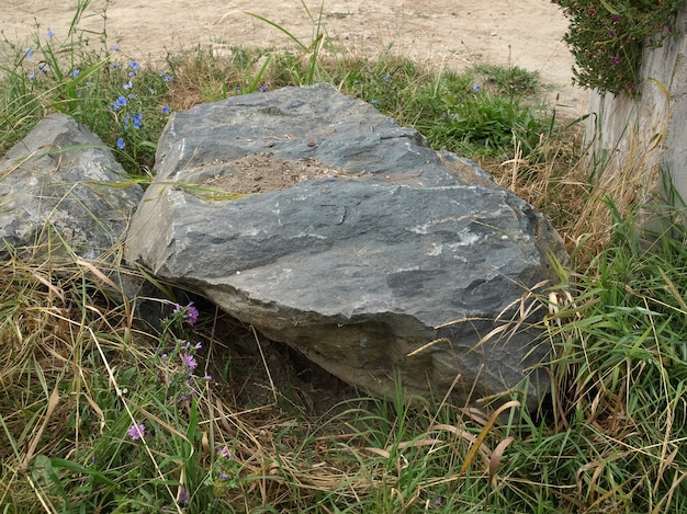 Rocher de rocher dans le pré