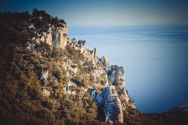 Rochers avec arbres et mer