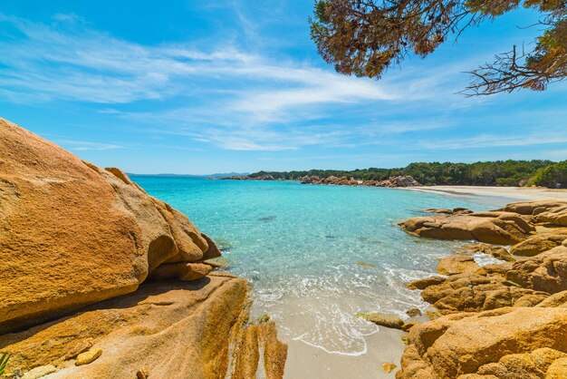 Rochers et arbres sur la plage de Capriccioli Sardaigne