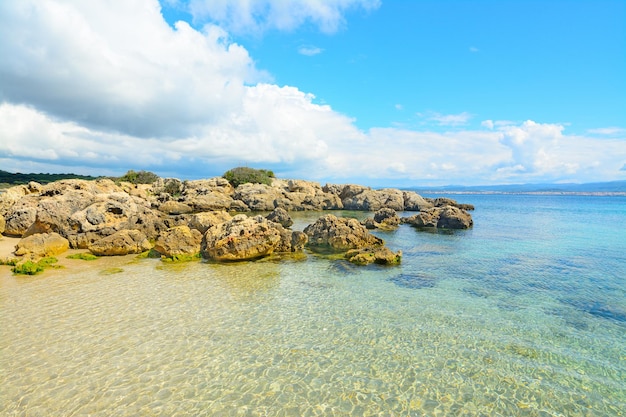 Rochers au bord de la mer à Alghero Italie