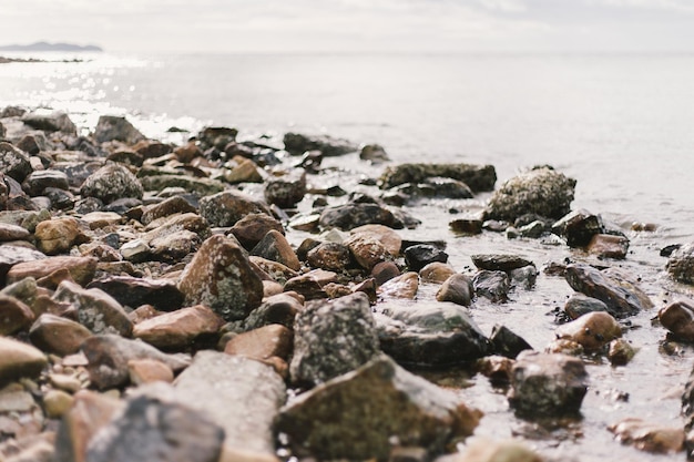 Des rochers au bord de la mer