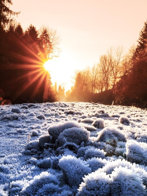 Photo des rochers couverts de neige contre le ciel au coucher du soleil