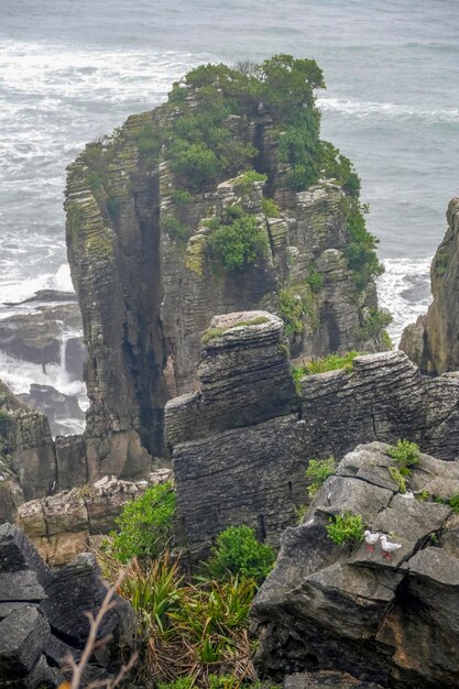 Les rochers de la crêpe en Nouvelle-Zélande