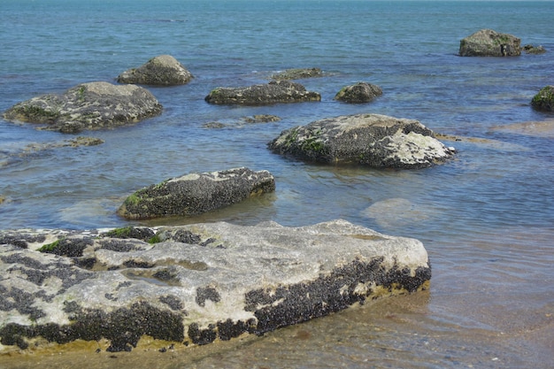 Des rochers dans l'eau avec le mot « mer » en bas.