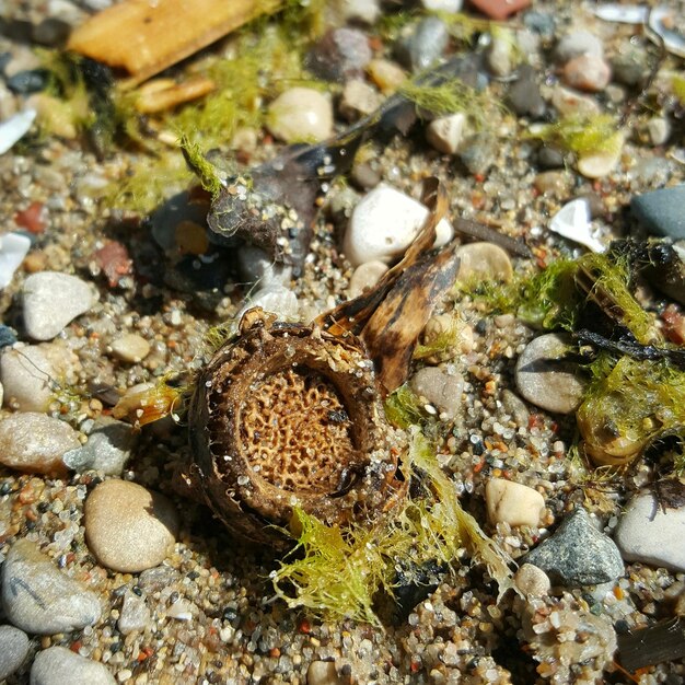 Des rochers dans la mer