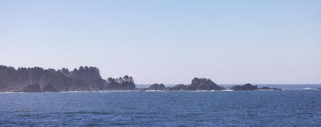 Des rochers escarpés sur un rivage rocheux sur la côte ouest de l'océan pacifique