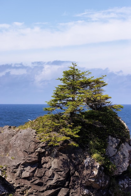 Des rochers escarpés sur un rivage rocheux sur la côte ouest de l'océan pacifique