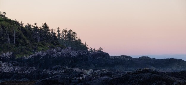 Des rochers escarpés sur un rivage rocheux sur la côte ouest de l'océan pacifique