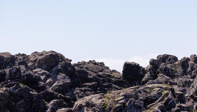 Des rochers escarpés sur un rivage rocheux sur la côte ouest de l'océan pacifique