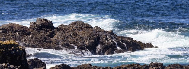 Des rochers escarpés sur un rivage rocheux sur la côte ouest de l'océan pacifique