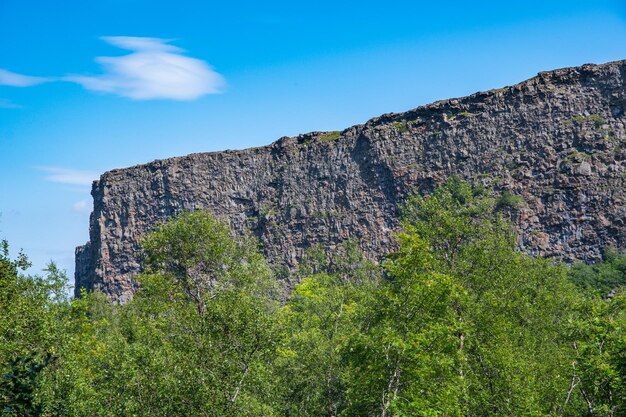 Photo les rochers et la forêt d'asbyrgi dans le parc national de vatnajokull en islande