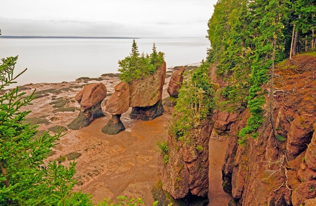 Photo les rochers de hopewell dans le nouveau-brunswick à marée basse