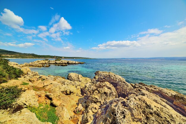 Rochers et mer à Alghero Italie