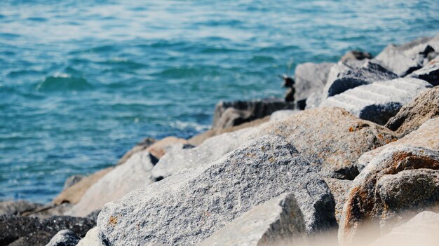 Photo des rochers sur la plage