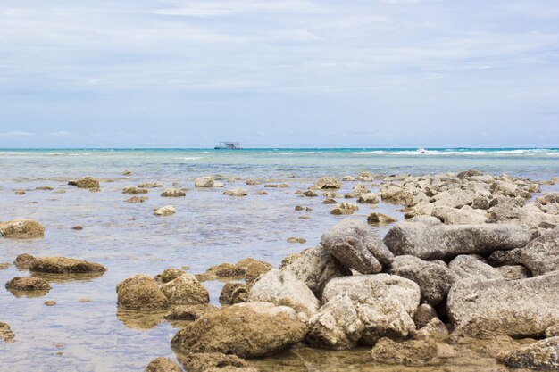 Les rochers sur la plage